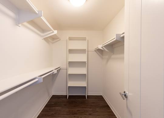 A white pantry with a shelf and a door.