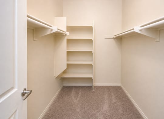 A white closet with shelves and a carpeted floor.