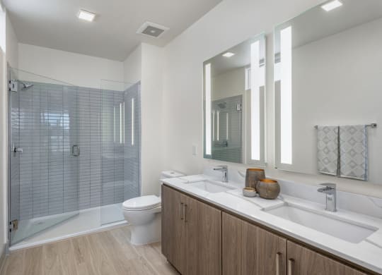 a bathroom with a sink and a shower and a toilet