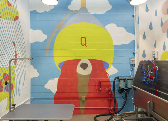 Woodland Hills Pet-Friendly Apartments - The Q Variel Apartments - Dog Wash with a Grooming Table, Washing Tub, Hanging Lights, and a Mural Painted on the Wall
