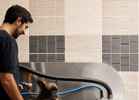 A man is grooming a dog in a grooming station.