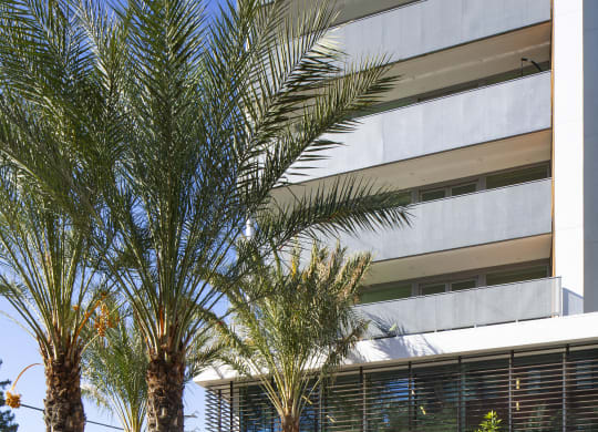 Woodland Hills Lofts - The Q Variel - Property Exterior with White Walls, Balconies, and Palm Trees