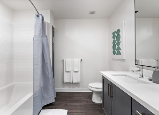 a bathroom with a shower and a sink and a toilet