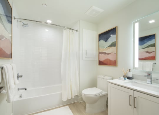 a bathroom with a shower toilet and sink and a mirror