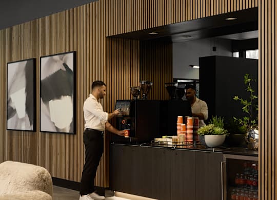 A person is standing at a counter with a plant on it.