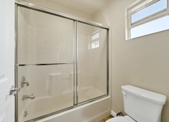 a bathroom with a shower and a toilet