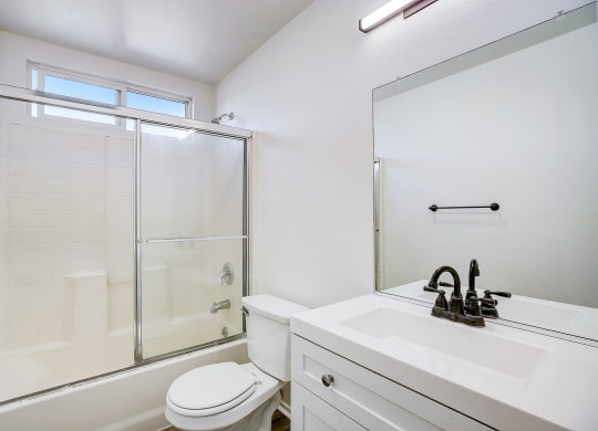 a bathroom with a shower toilet and sink