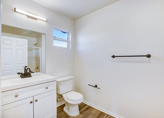 a bathroom with a toilet and a sink and a mirror