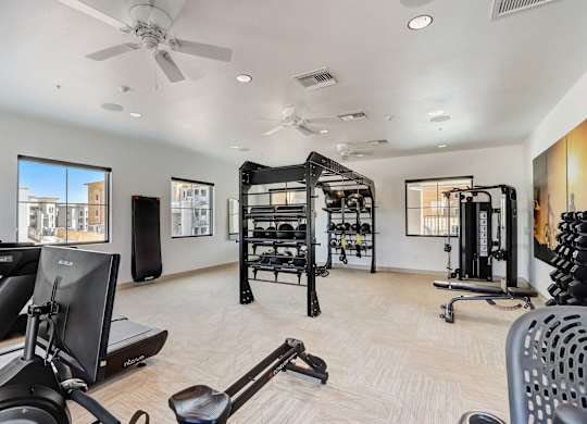 A spacious home gym with a variety of equipment including treadmills, weights, and a television.