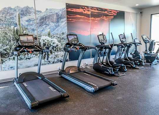 Fitness, Treadmill, Equipment, Exercise, Gym