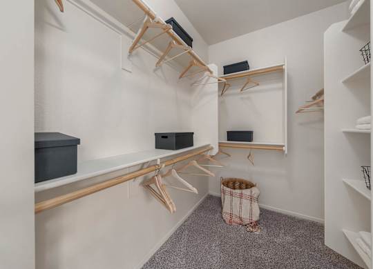A walk-in closet with white shelves and wooden hangers.