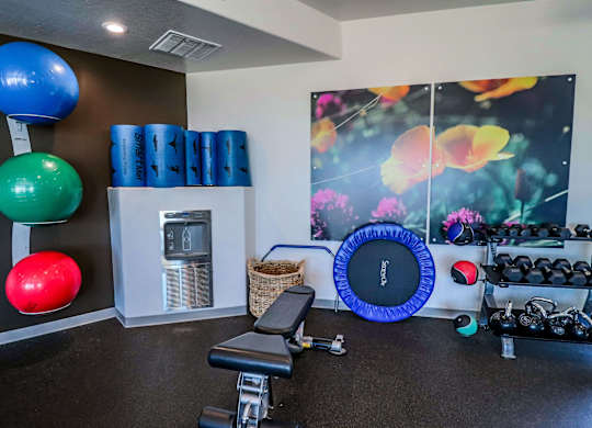 Fitness, Treadmill, Equipment, Exercise, Gym