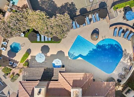 A large swimming pool surrounded by a tiled patio and a small tree.