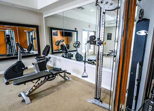 Fitness, Treadmill, Equipment, Exercise, Gym