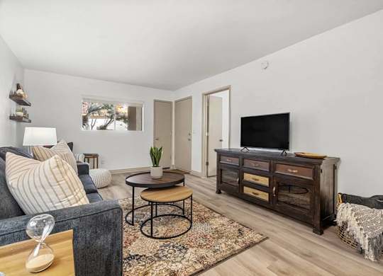 A living room with a grey couch, a wooden coffee table, a TV stand, and a rug.