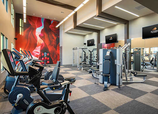 A gym with a variety of equipment including treadmills, weights, and exercise machines.