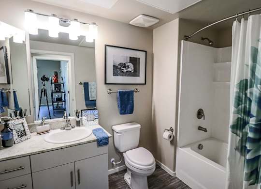 Bathroom, Sink, Shower, Bathtub, Mirror