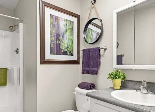 A bathroom with a toilet, sink, and a mirror.
