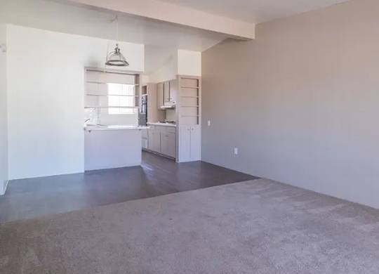 A large empty room with a kitchen area in the background.