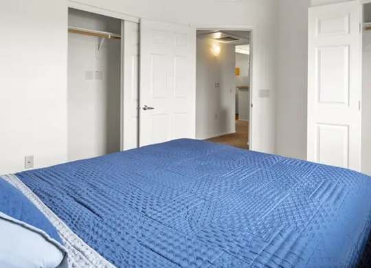 A bedroom with a blue bedspread and a ceiling fan.
