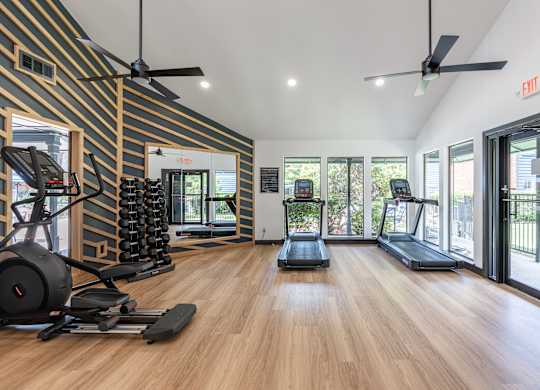 A gym with treadmills, elliptical machines, and weights.