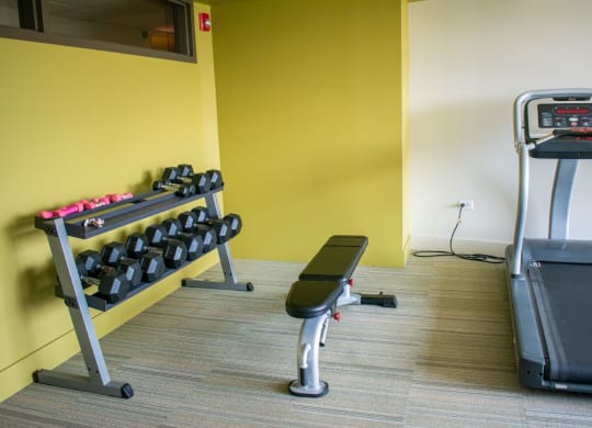 a gym with a treadmill and weights
