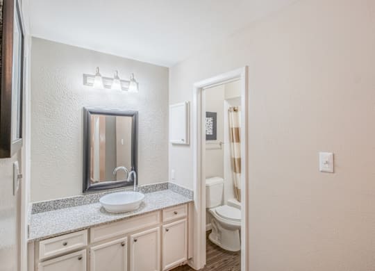 A bathroom with a sink, mirror, and toilet.