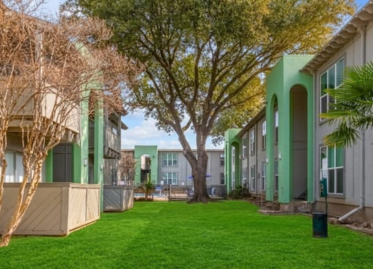 A row of houses with green trim.