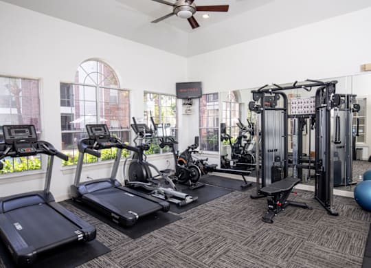High-Tech Fitness Center at Whitney at the Heights, Texas, 77008