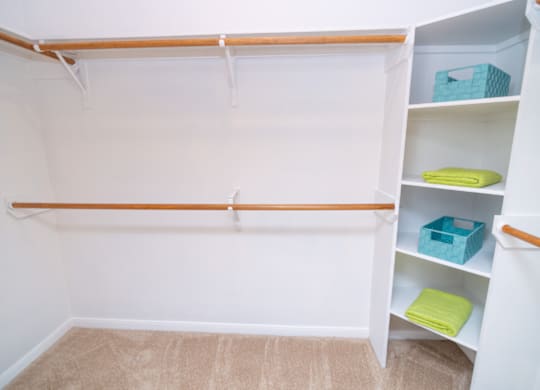 Walk-in Closet with a shelf at Whitney at the Heights, Texas