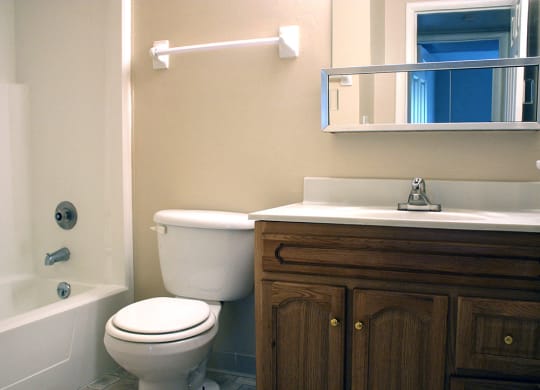 Crown Ridge bathroom at Crown Ridge Apartments, Franklin, 45005