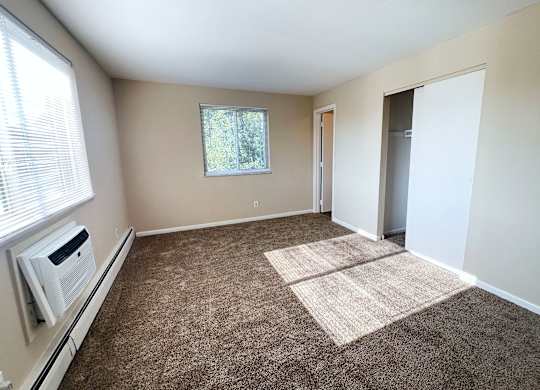 A room with a carpet, a window, and a door.