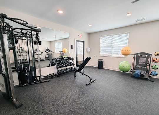 A gym with a variety of equipment including a squat rack, a bench, and a rowing machine.
