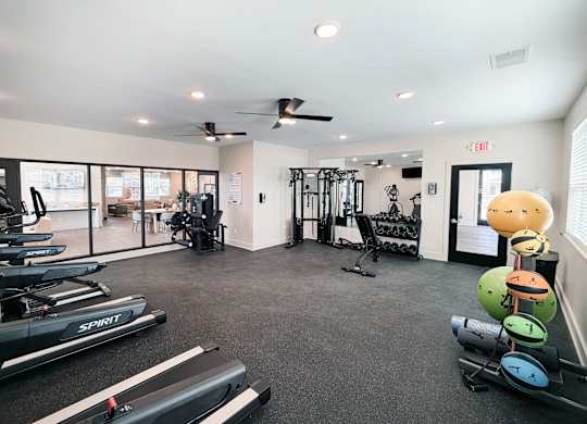 A gym with treadmills, weights, and exercise balls.