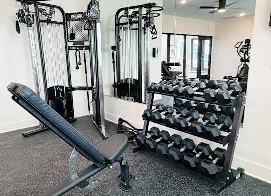 A gym with a bench, weights, and a mirror.