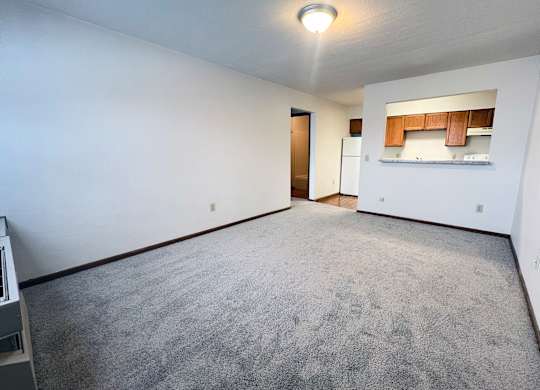 A spacious room with a grey carpet and a small kitchenette in the corner.