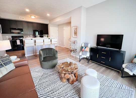 Living Room with a Black and White Rug at Hebron Station Apartments, Hebron