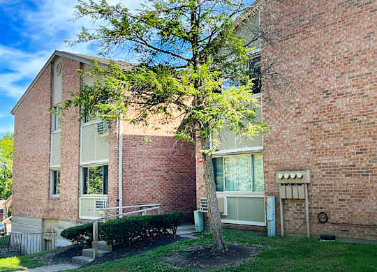 A tree in front of a brick building with a sign on the wall.