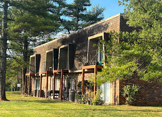the building where the apartment is located