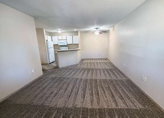 A carpeted room with a striped rug on the floor.