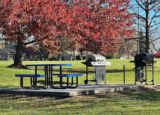A picnic table with a blue bench is in front of a tree with red leaves.