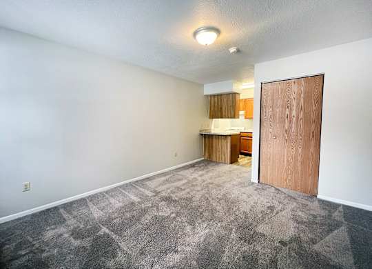 A room with a carpeted floor and a wooden door.