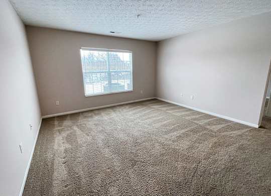A room with a carpeted floor and a window.