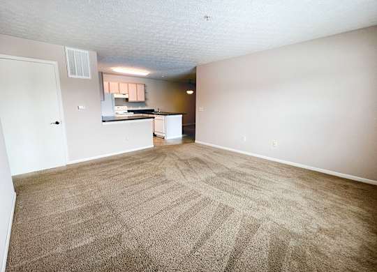 A room with a carpeted floor and a kitchen area in the background.