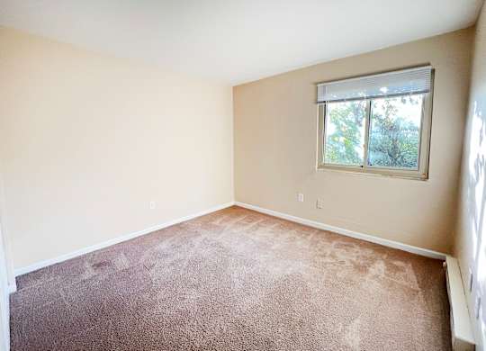 A room with a carpeted floor and a window.