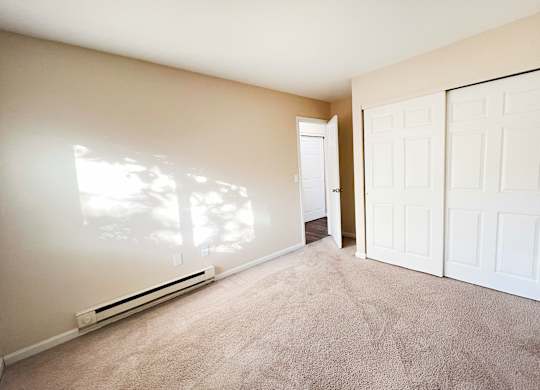 A room with a carpeted floor and two white doors.
