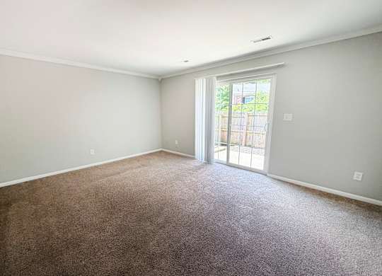 A room with a carpeted floor and a sliding glass door leading outside.
