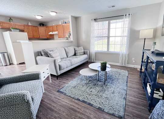 A living room with a grey sofa and a grey rug.