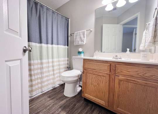 A bathroom with a toilet, a wooden cabinet, and a shower curtain.