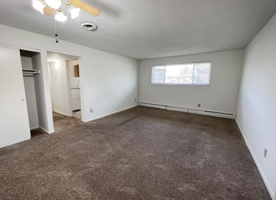 Plush Carpeting at Forest Park Apartments, Forest Park, OH, 45240